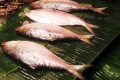 মোবাইল কোর্ট