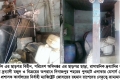 মোবাইল কোর্ট