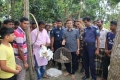 মোবাইল কোর্ট