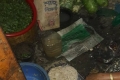 মোবাইল কোর্ট